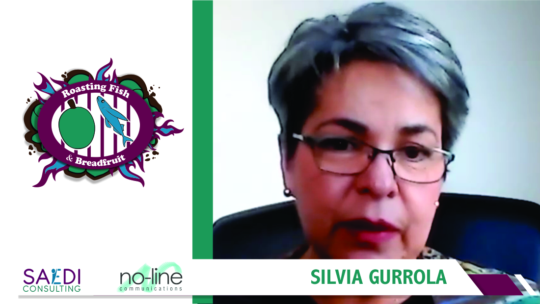 Presentation by Silvia Gurrola - Gender-based Violence Consultant - Norway